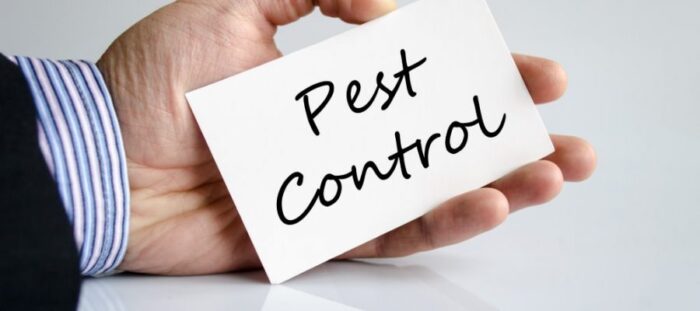 pest control services in Calgary