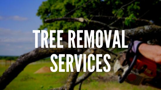 tree care
