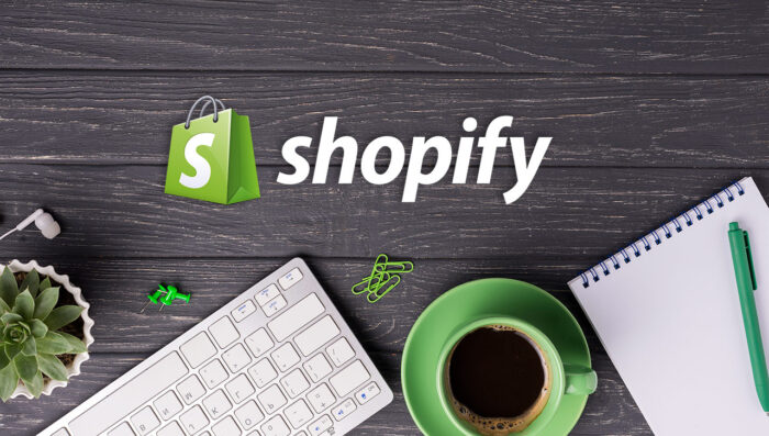reelance Shopify Developer 